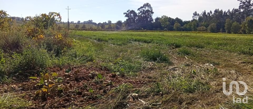 Terreno em Anais de 9 845 m²