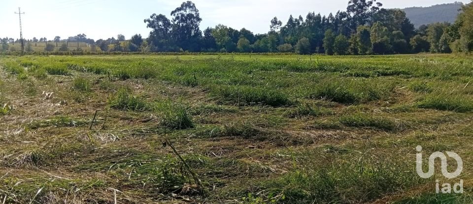 Terreno em Anais de 9 845 m²