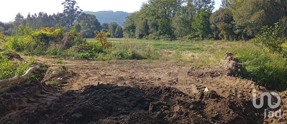 Terreno em Anais de 9 845 m²