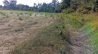 Land in Anais of 9,845 m²