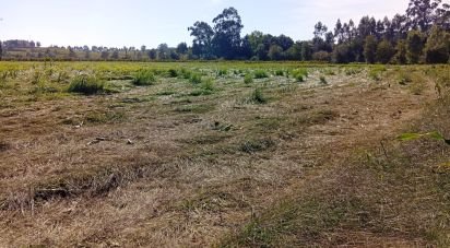 Land in Anais of 9,845 m²