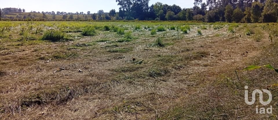 Terreno em Anais de 9 845 m²