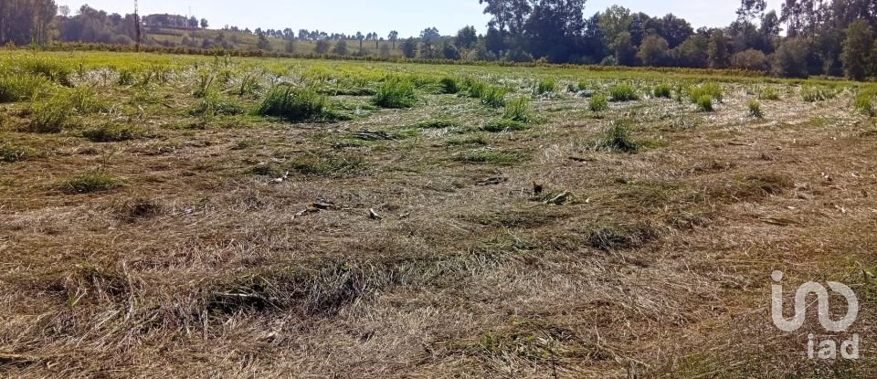 Terreno em Anais de 9 845 m²