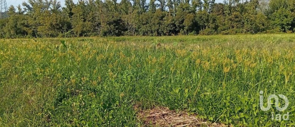 Terreno em Anais de 9 845 m²