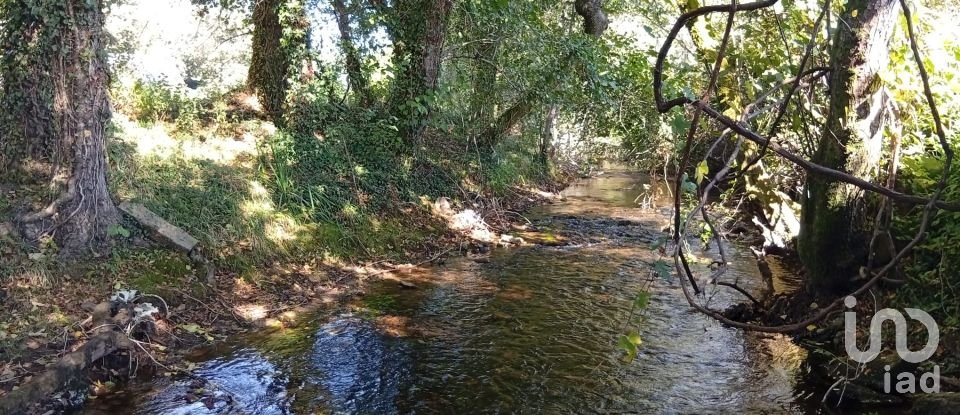 Terreno em Anais de 9 845 m²