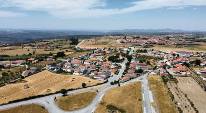 Terrain à Almeida de 787 m²