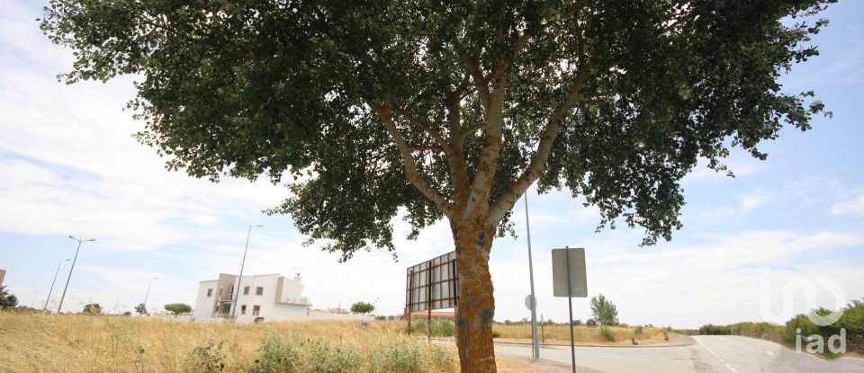 Terreno em Almeida de 787 m²