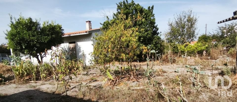 Casa de aldeia T3 em Seixo da Beira de 106 m²