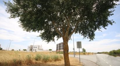 Terrain à Almeida de 616 m²