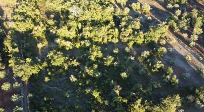 Terrain agricole à Chãos de 3 400 m²