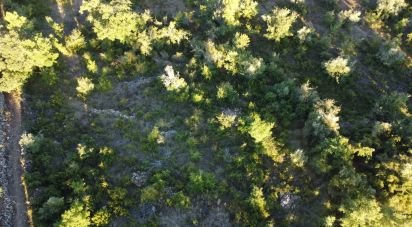 Farm land in Chãos of 3,400 m²