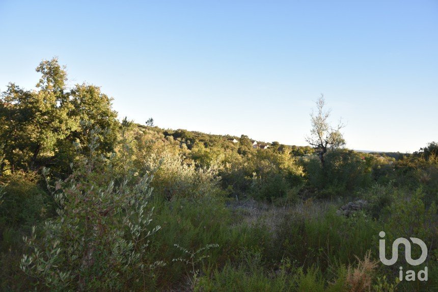 Terrain agricole à Chãos de 3 400 m²