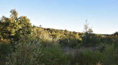 Terrain agricole à Chãos de 3 400 m²