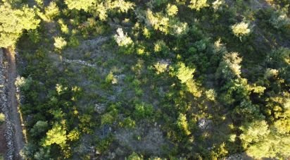 Terrain agricole à Chãos de 3 400 m²