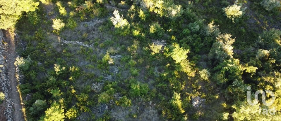 Terrain agricole à Chãos de 3 400 m²