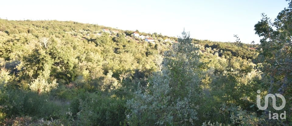 Terrain agricole à Chãos de 3 400 m²