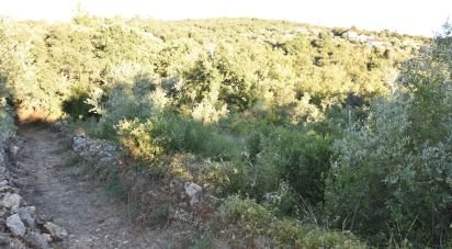 Terrain agricole à Chãos de 3 400 m²