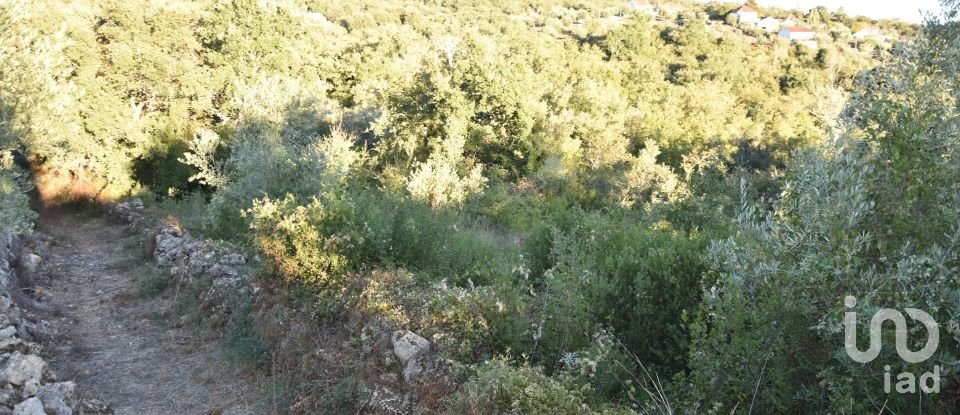 Terrain agricole à Chãos de 3 400 m²