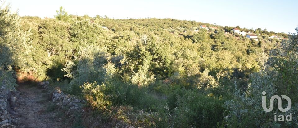 Terrain agricole à Chãos de 3 400 m²