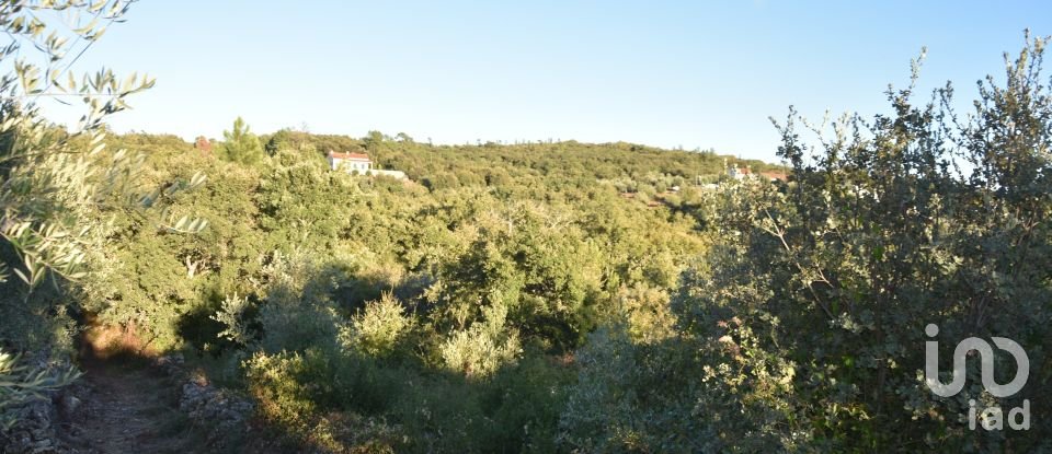 Terrain agricole à Chãos de 3 400 m²