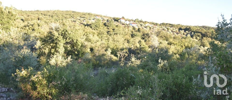 Terrain agricole à Chãos de 3 400 m²