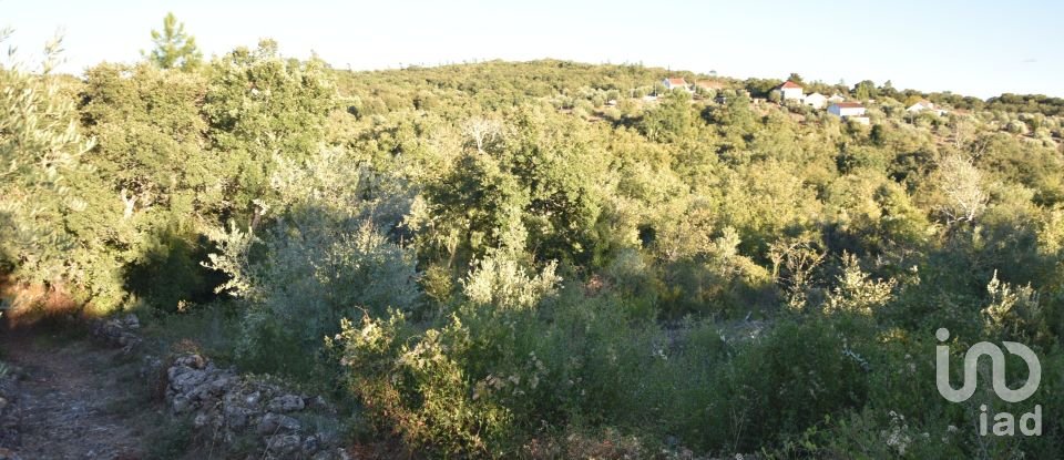 Terrain agricole à Chãos de 3 400 m²