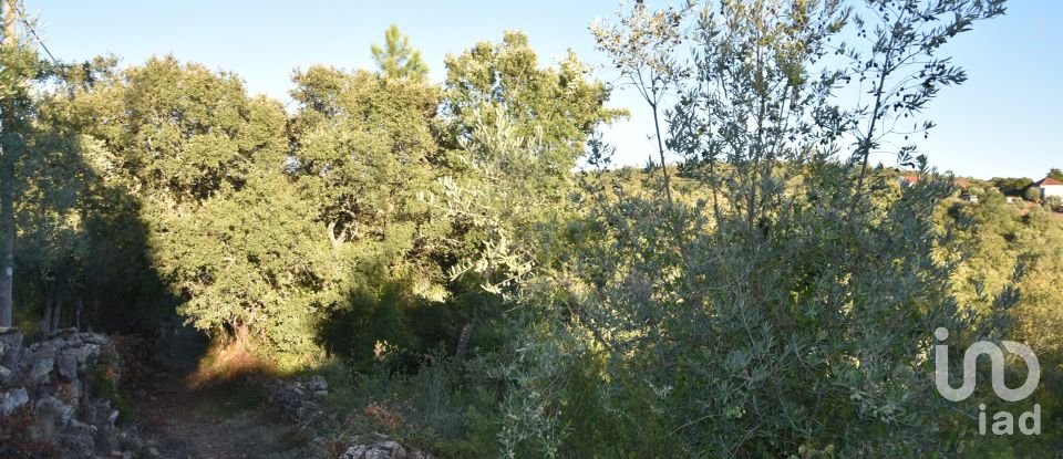 Terrain agricole à Chãos de 3 400 m²