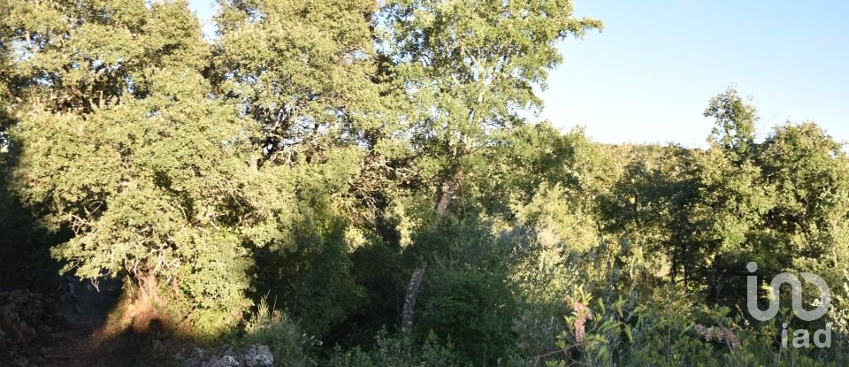 Terrain agricole à Chãos de 3 400 m²