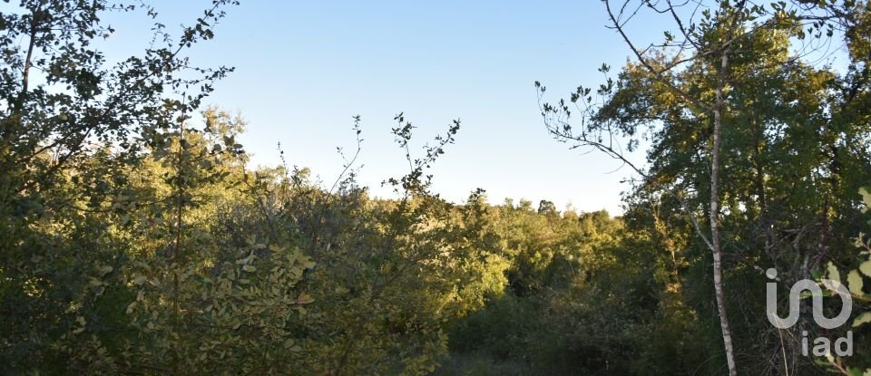 Terrain agricole à Chãos de 3 400 m²