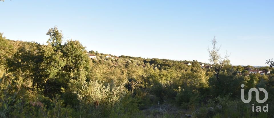 Terrain agricole à Chãos de 3 400 m²