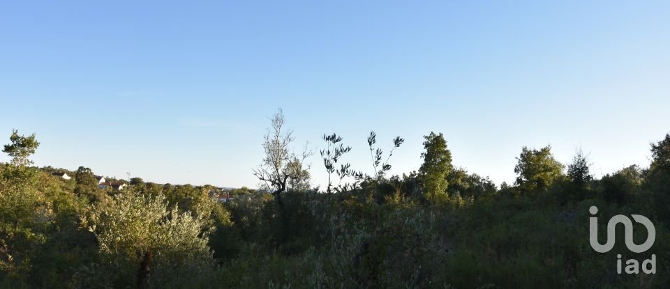 Terrain agricole à Chãos de 3 400 m²