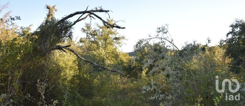 Terrain agricole à Chãos de 3 400 m²