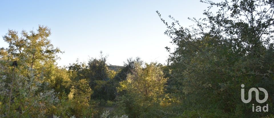 Terrain agricole à Chãos de 3 400 m²