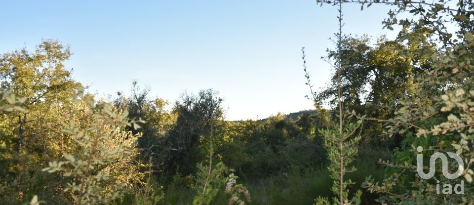 Terrain agricole à Chãos de 3 400 m²