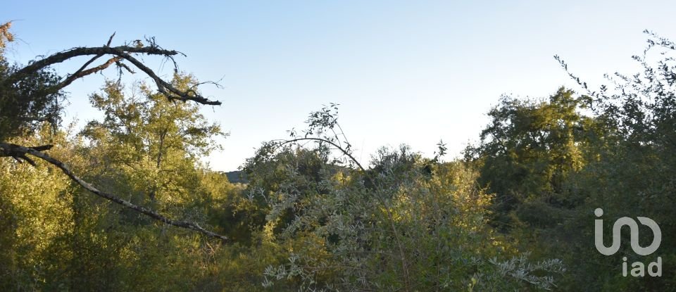 Terrain agricole à Chãos de 3 400 m²
