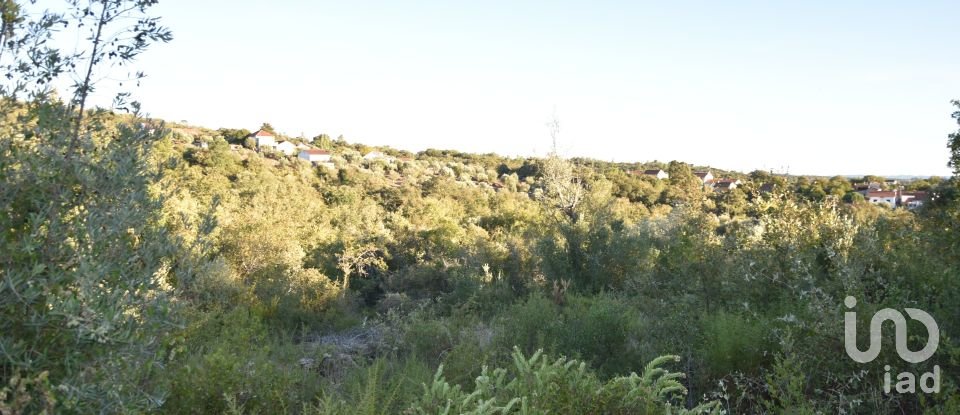 Terrain agricole à Chãos de 3 400 m²
