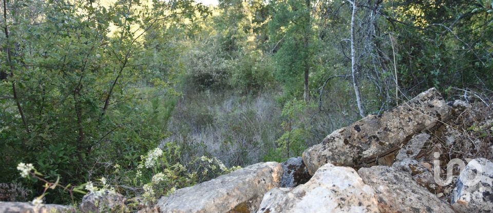 Terrain agricole à Chãos de 3 400 m²