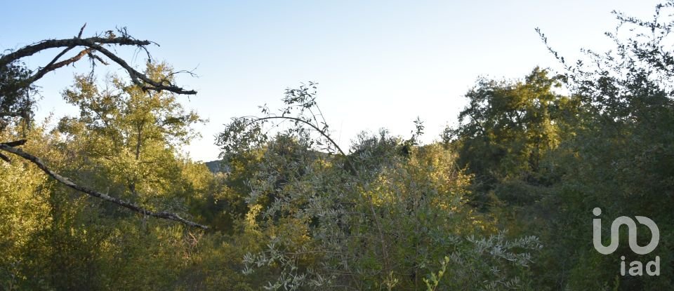 Terrain agricole à Chãos de 3 400 m²