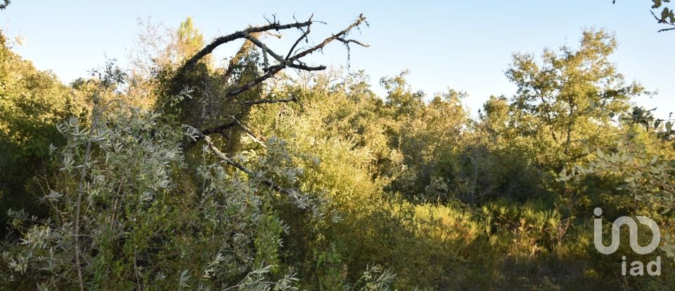 Terrain agricole à Chãos de 3 400 m²