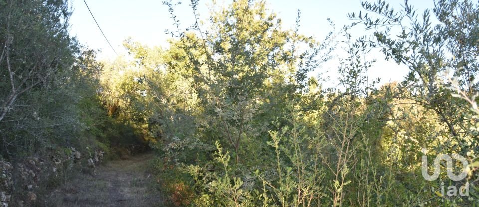 Terrain agricole à Chãos de 3 400 m²