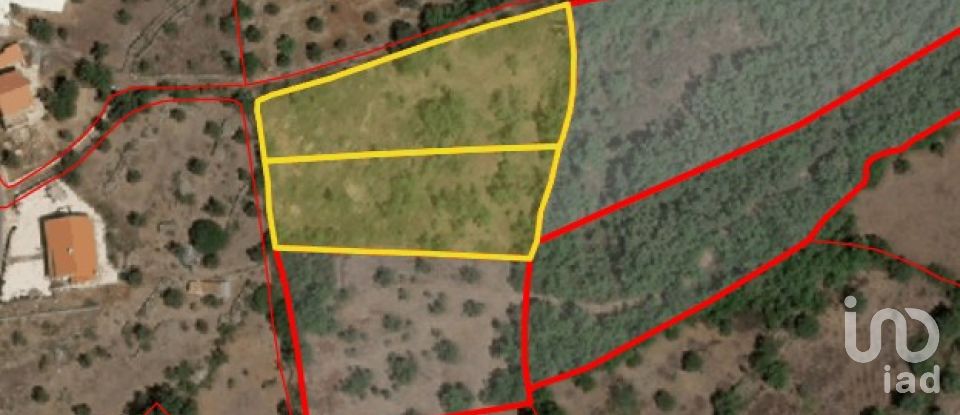 Terrain agricole à Chãos de 3 400 m²