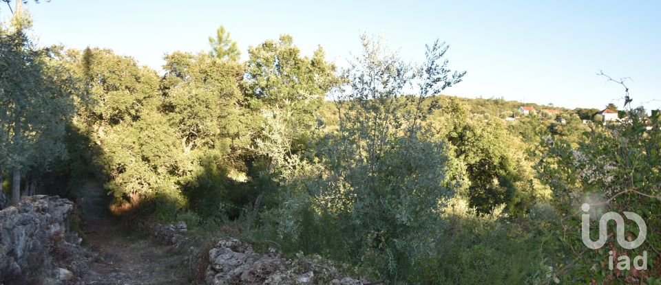 Terrain agricole à Chãos de 3 400 m²