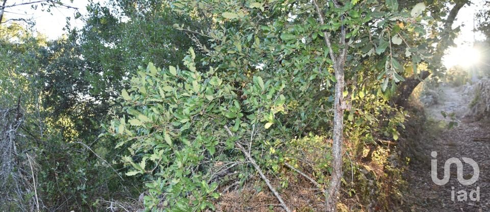 Terrain agricole à Chãos de 3 400 m²