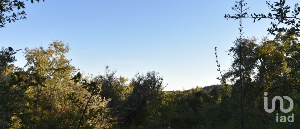 Terrain agricole à Chãos de 3 400 m²