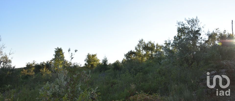 Terrain agricole à Chãos de 3 400 m²