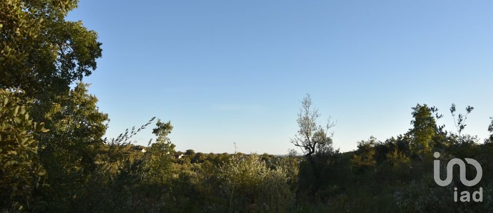 Terrain agricole à Chãos de 3 400 m²