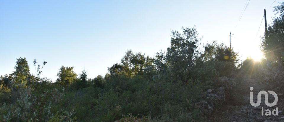 Terrain agricole à Chãos de 3 400 m²