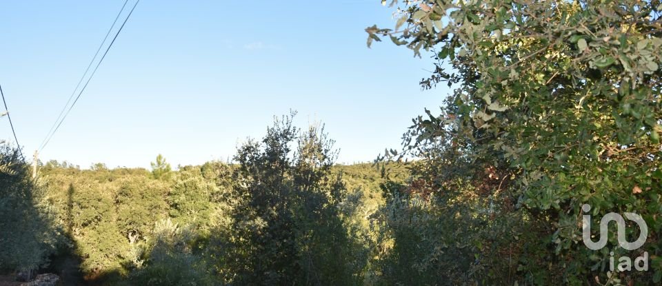 Terrain agricole à Chãos de 3 400 m²