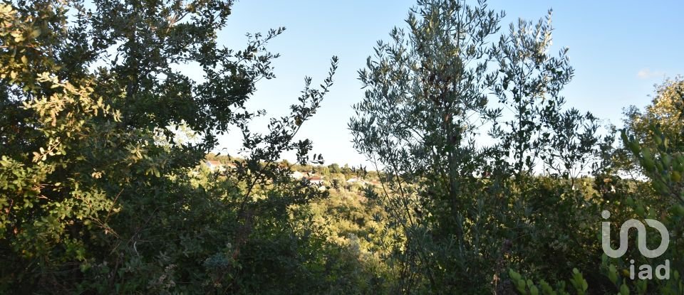 Terrain agricole à Chãos de 3 400 m²