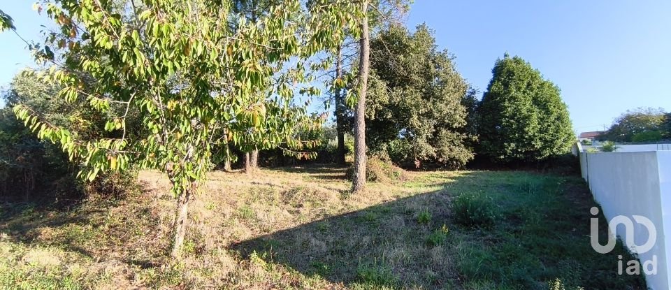 Maison T4 à Cernache de 150 m²